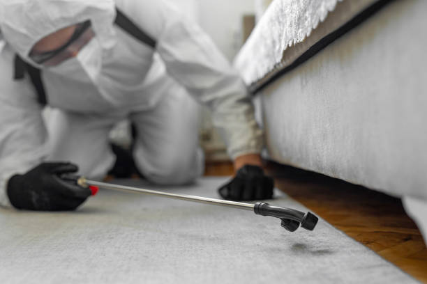Professional Bed Bug Control technician working in St. Francis, KS