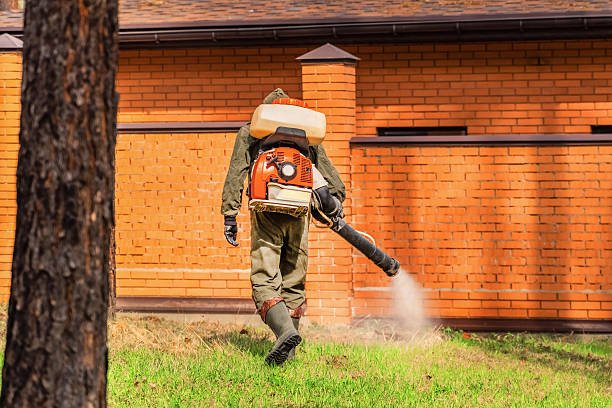 Trusted Ant Control service in St. Francis, KS - Nex Pest Control